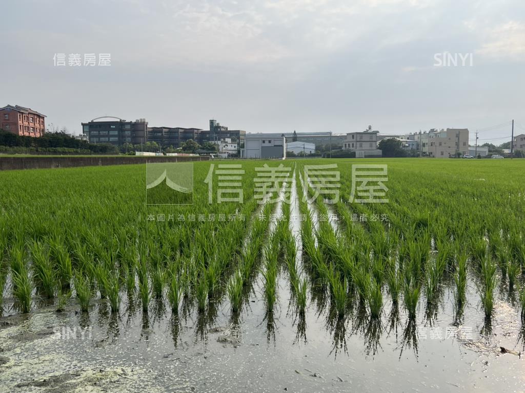 苑裡交通樞紐活水美地房屋室內格局與周邊環境