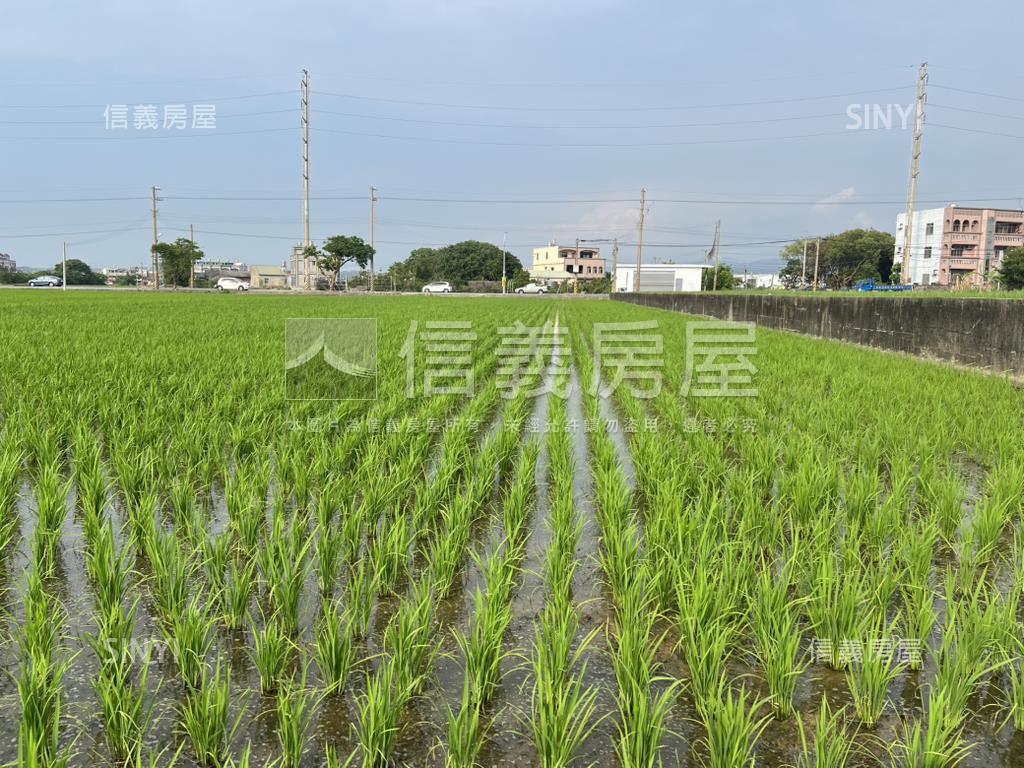 苑裡交通樞紐活水美地房屋室內格局與周邊環境