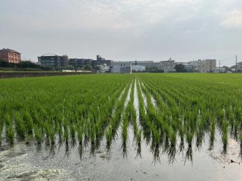 苑裡交通樞紐活水美地