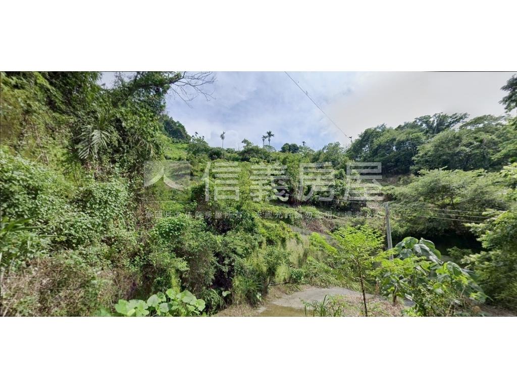 南投低總價土地房屋室內格局與周邊環境