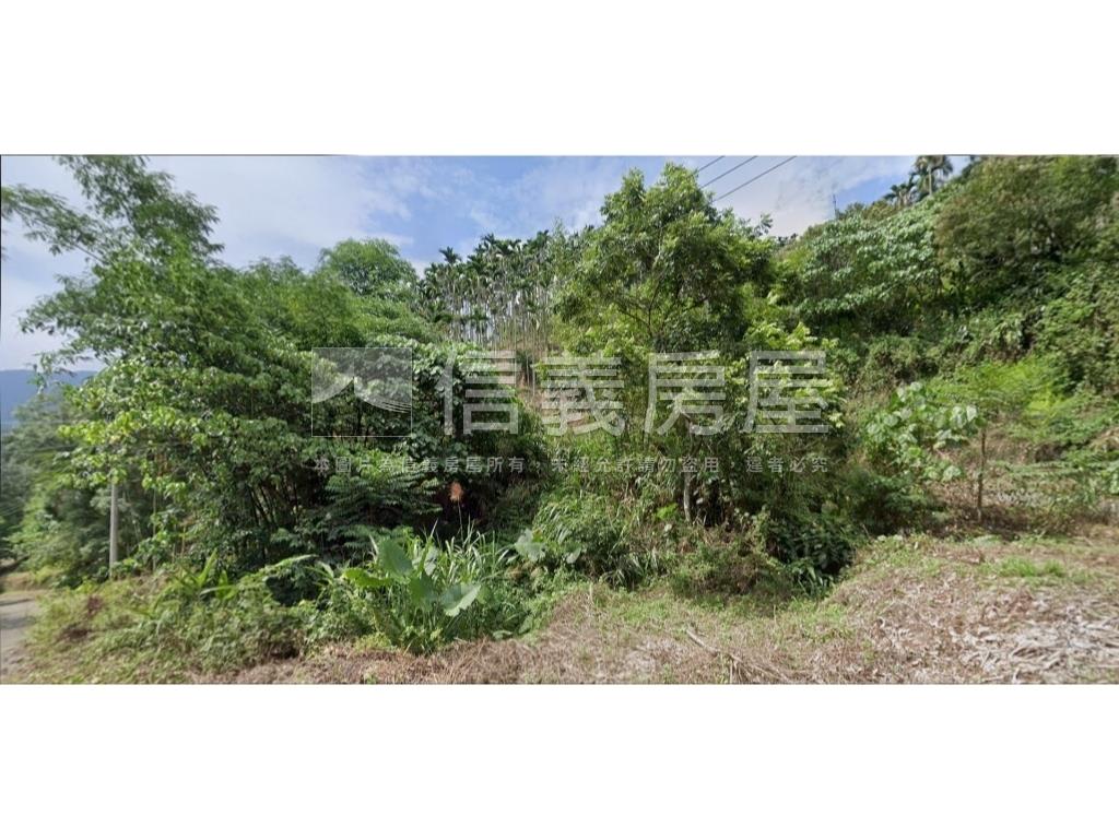 南投低總價土地房屋室內格局與周邊環境