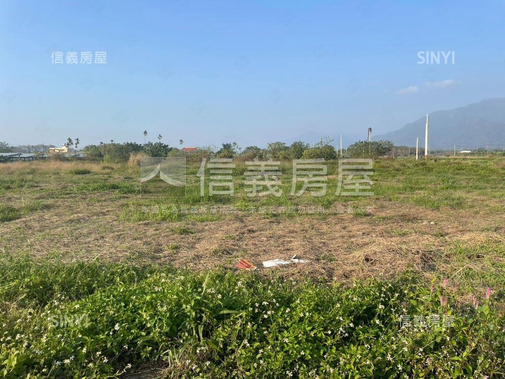 高樹雙面臨路開心農地房屋室內格局與周邊環境