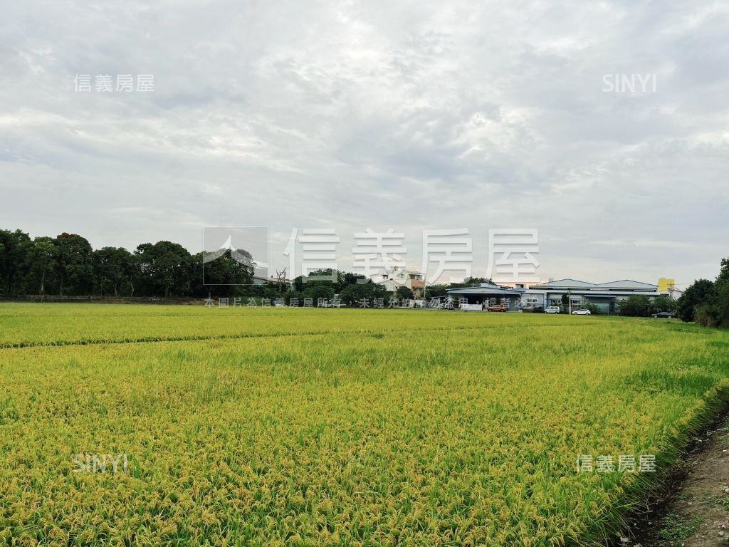 大里私藏農地房屋室內格局與周邊環境