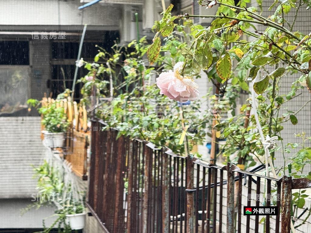 首購！首選！忠貞大３房！房屋室內格局與周邊環境