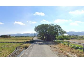 彰化田中開心農場