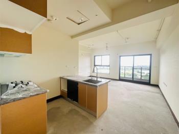 青埔高樓青茵悅大兩房車位