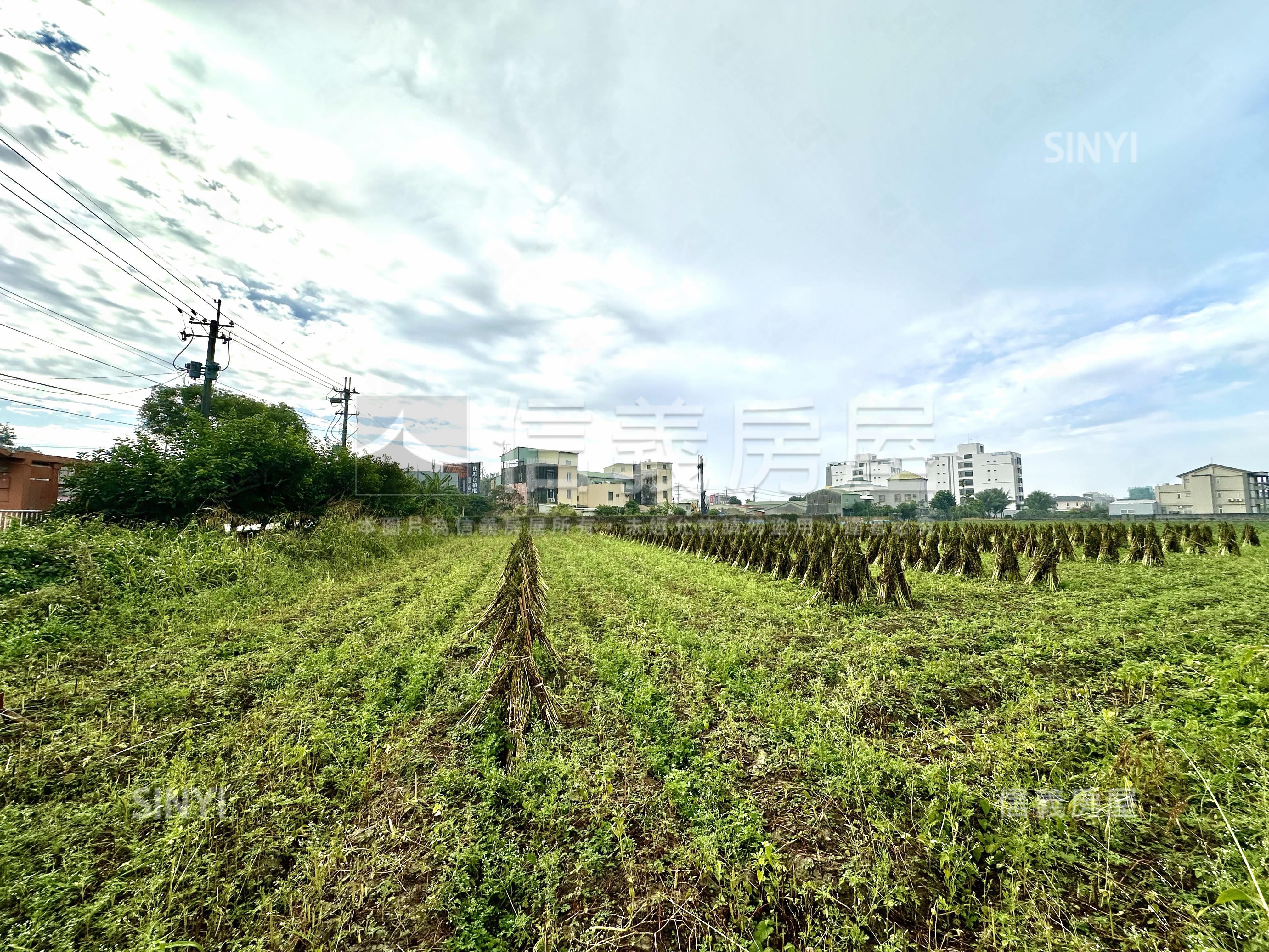 善化省道旁角窗大面寬農地房屋室內格局與周邊環境