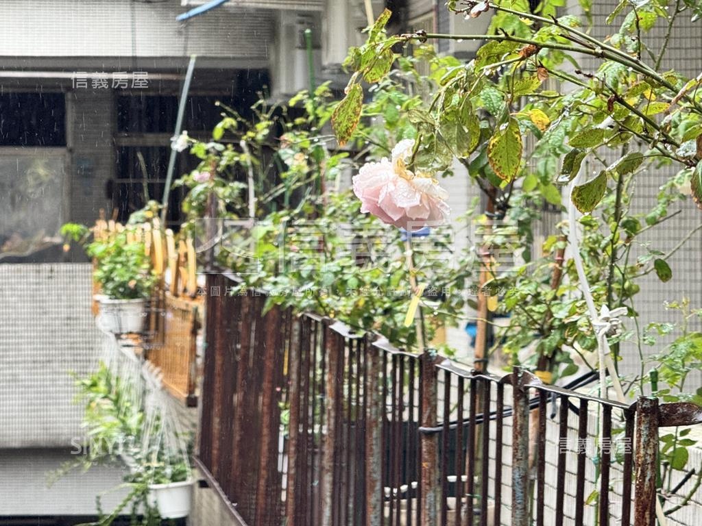 龍德３房離塵不離城房屋室內格局與周邊環境