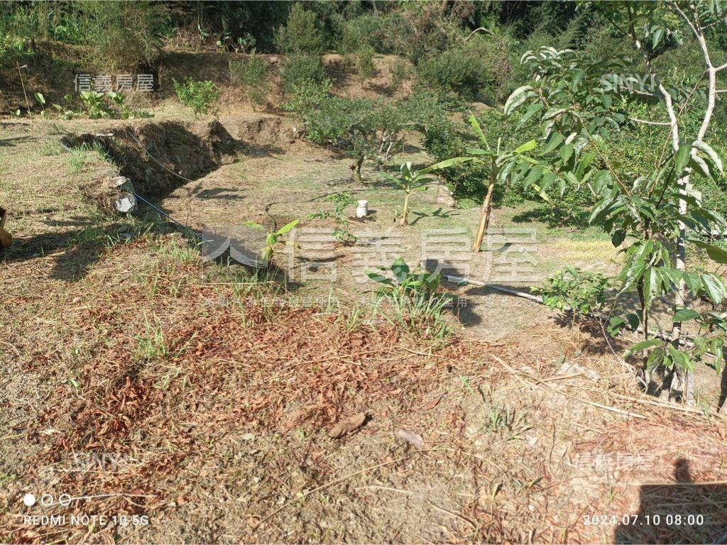 鄰路千坪土地房屋室內格局與周邊環境