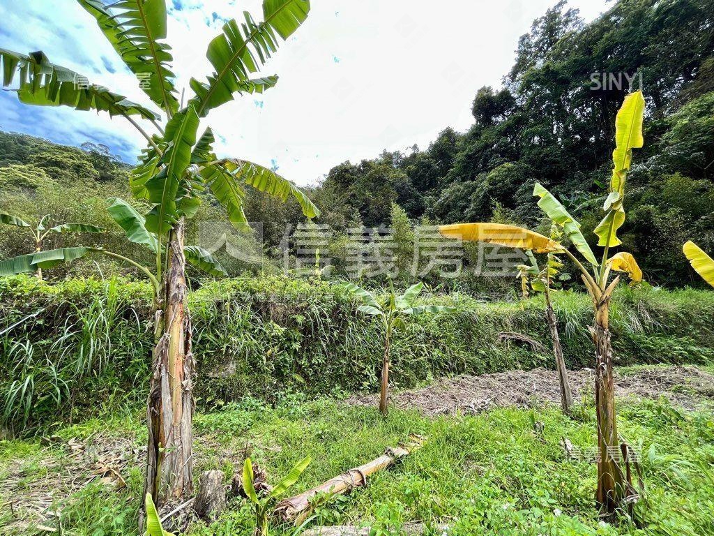 鄰路千坪土地房屋室內格局與周邊環境