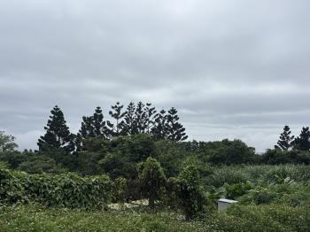 至善段千坪農地