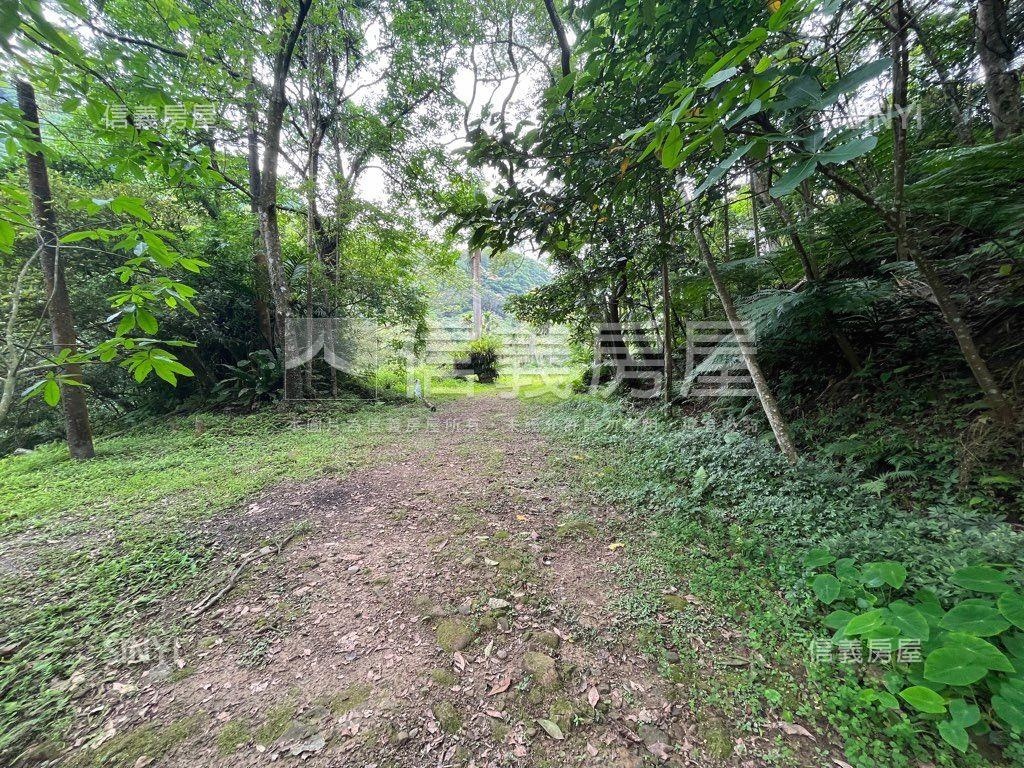 珍螢火蟲花園（珍園）房屋室內格局與周邊環境