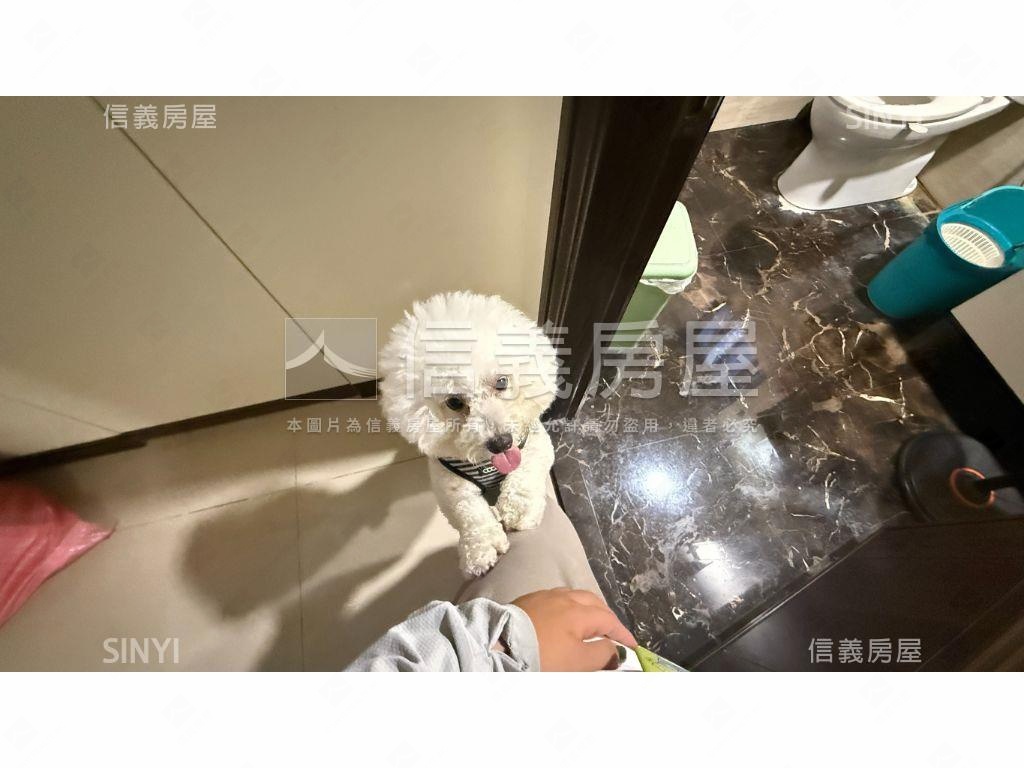 超便宜！沙鹿臨路大面別墅房屋室內格局與周邊環境