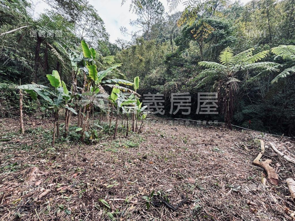 大溪都市計畫內貳房屋室內格局與周邊環境