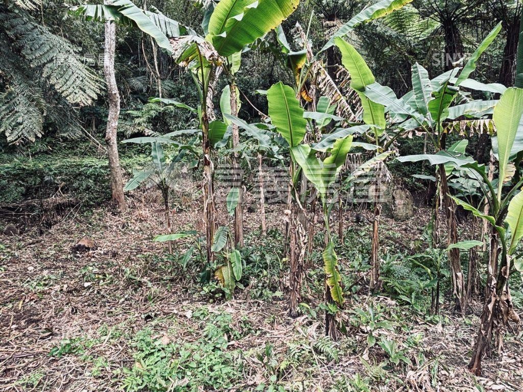 大溪都市計畫內貳房屋室內格局與周邊環境