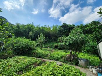 天母珍稀千坪土地