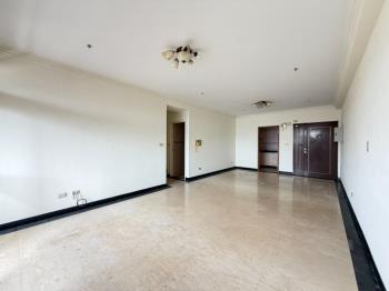 強！中央公園震後三房平車