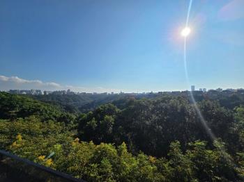 康橋《朗悅裝潢樹海別墅》