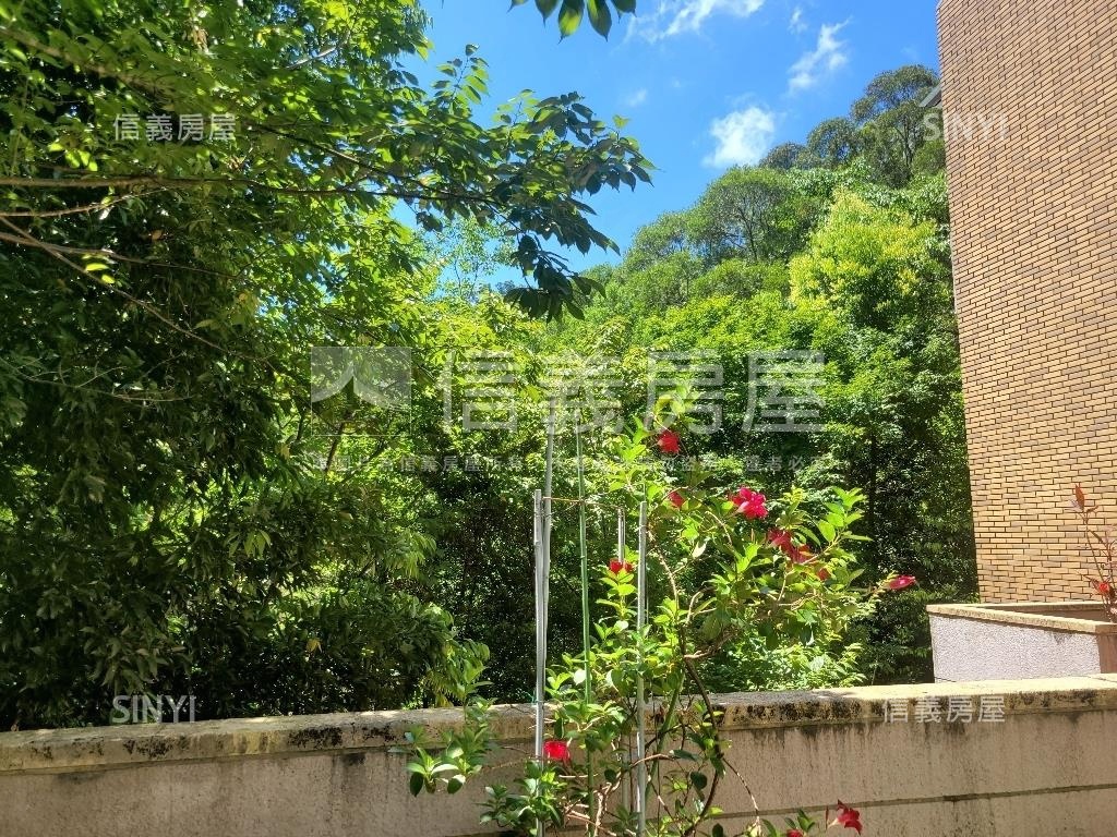 青山鎮濱湖庭院美墅房屋室內格局與周邊環境