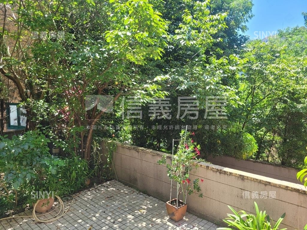 青山鎮濱湖庭院美墅房屋室內格局與周邊環境