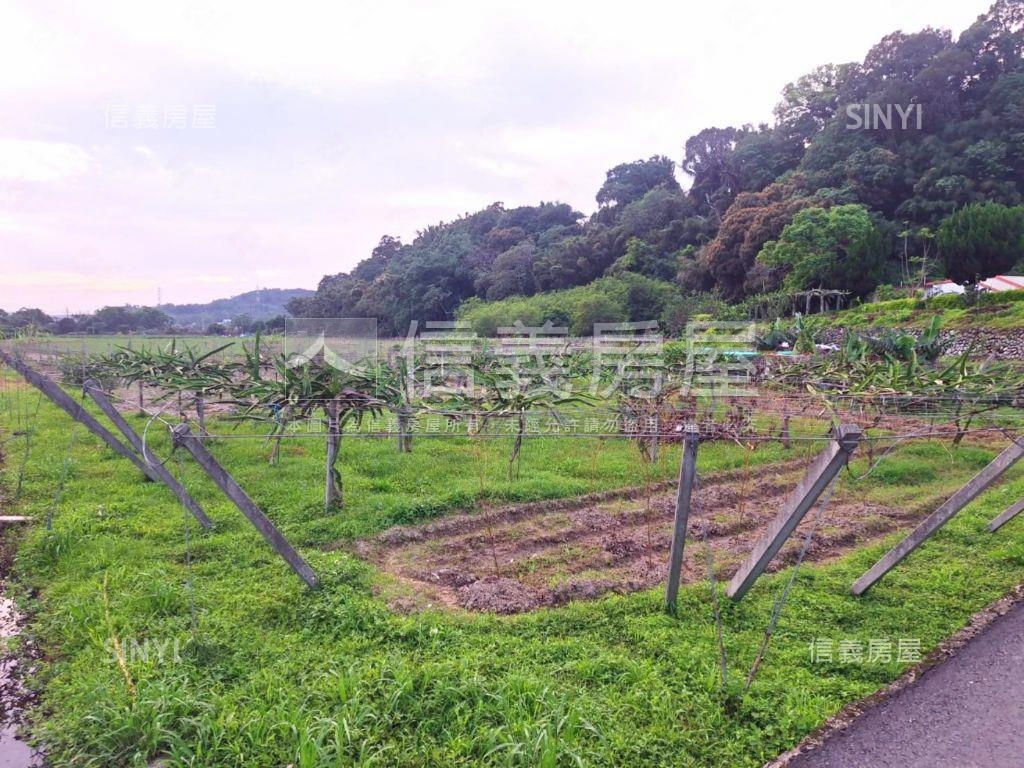 臨路有灌溉溝渠農牧用地１房屋室內格局與周邊環境