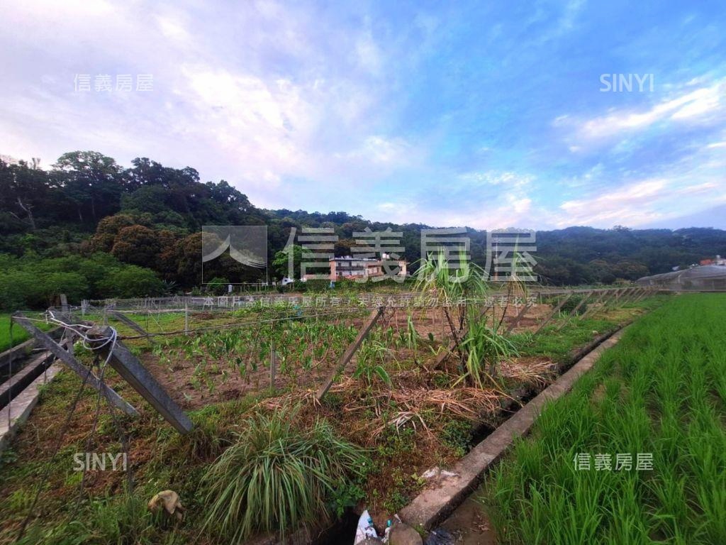 臨路有灌溉溝渠農牧用地１房屋室內格局與周邊環境