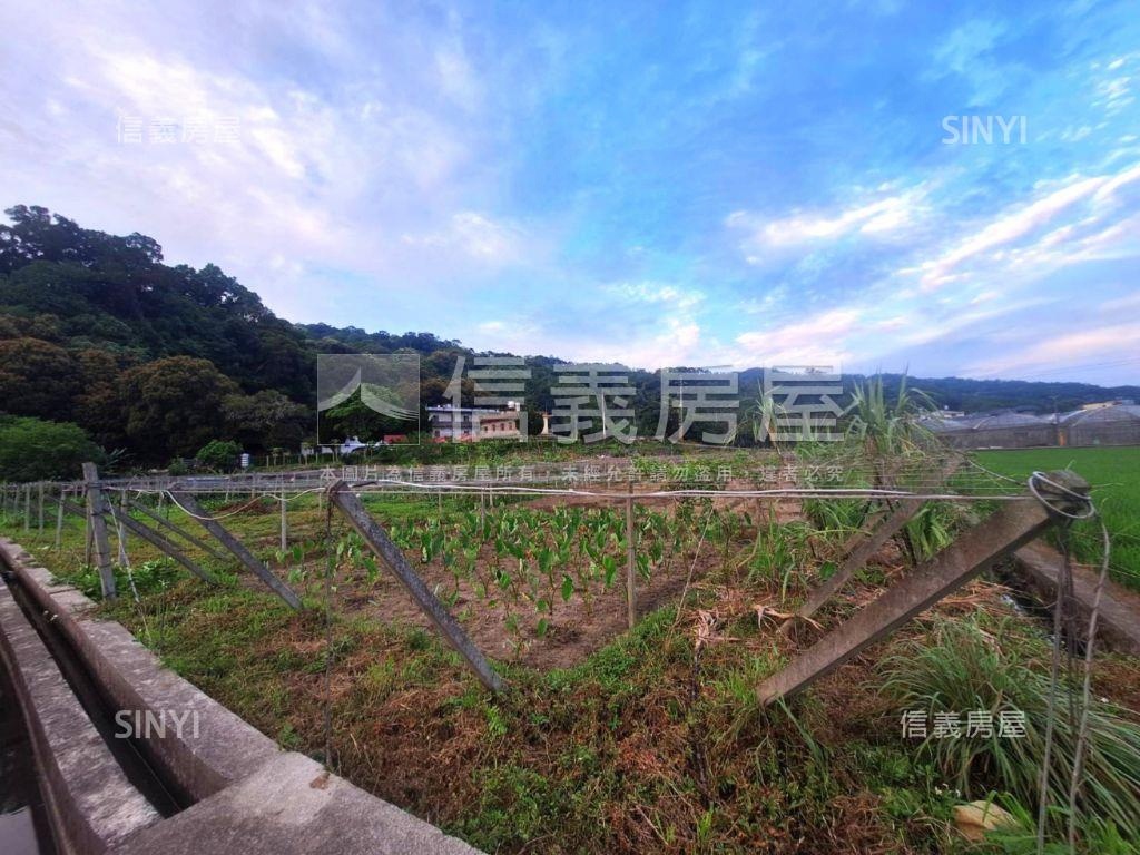 臨路有灌溉溝渠農牧用地１房屋室內格局與周邊環境