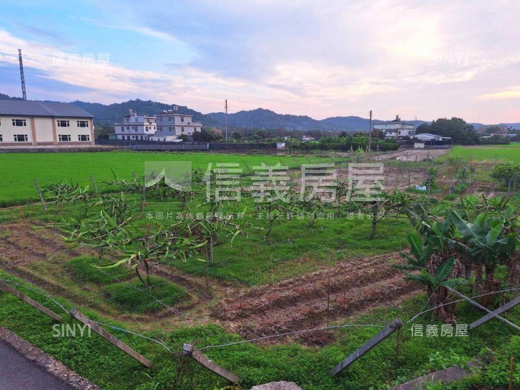 臨路有灌溉溝渠農牧用地１房屋室內格局與周邊環境