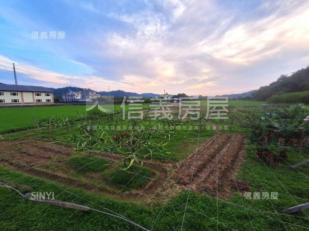 臨路有灌溉溝渠農牧用地１房屋室內格局與周邊環境
