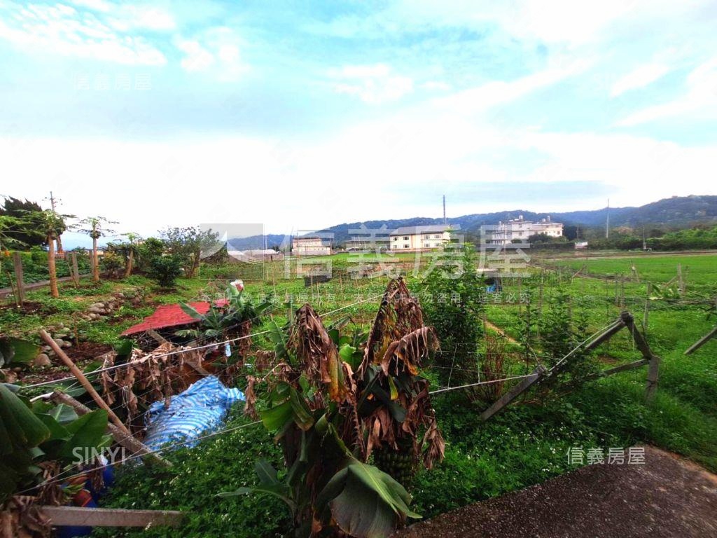 臨路有灌溉溝渠農牧用地１房屋室內格局與周邊環境