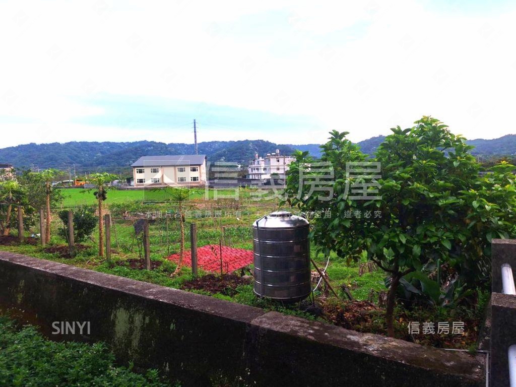 臨路有灌溉溝渠農牧用地１房屋室內格局與周邊環境