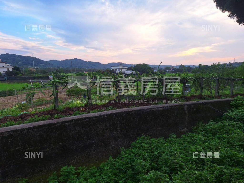 臨路有灌溉溝渠農牧用地１房屋室內格局與周邊環境
