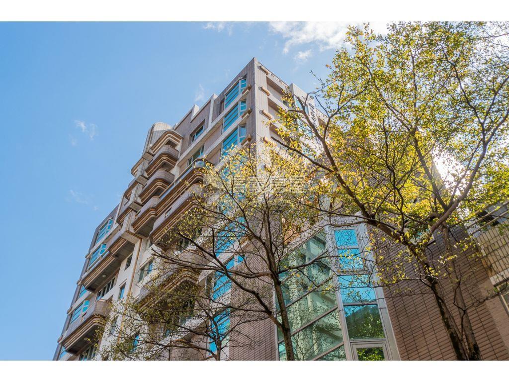 仁愛高樓景觀氣派大戶房屋室內格局與周邊環境