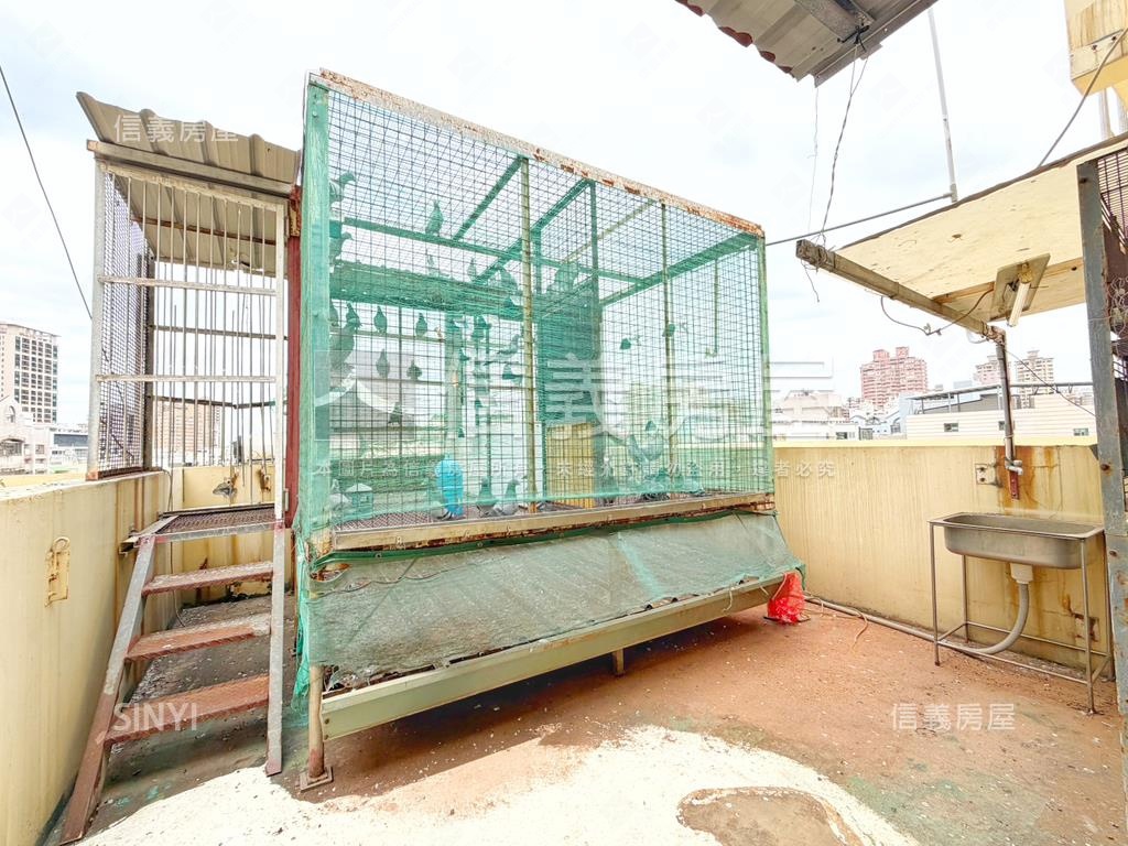 校園環繞．明亮透店房屋室內格局與周邊環境