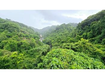 麗水山莊小坪數稀有釋出