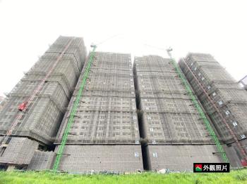 ⭐【大亮泊】面中庭綠蔭