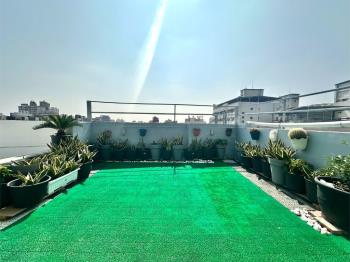 大社路稀有收租金店