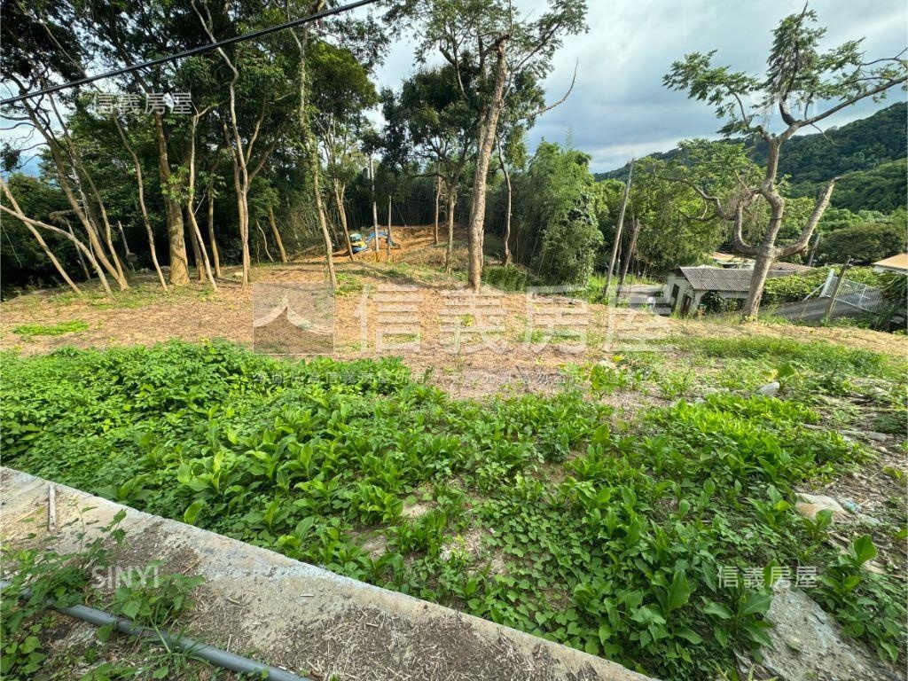 新社有整地土地房屋室內格局與周邊環境