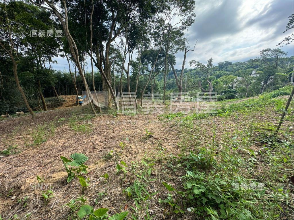 新社有整地土地房屋室內格局與周邊環境