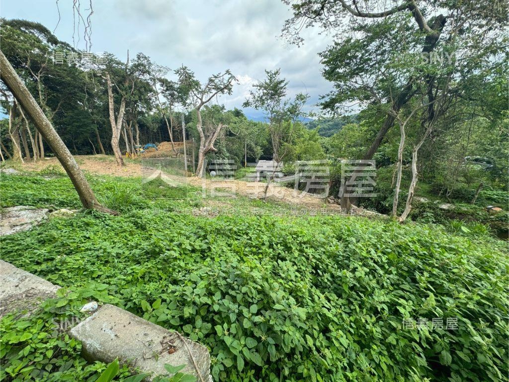 新社有整地土地房屋室內格局與周邊環境