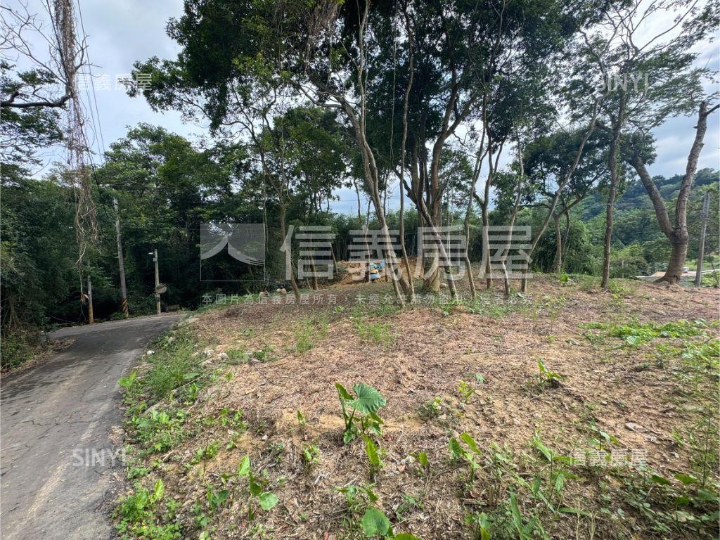 新社有整地土地房屋室內格局與周邊環境