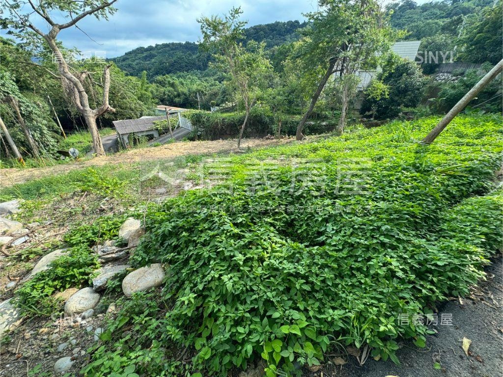 新社有整地土地房屋室內格局與周邊環境