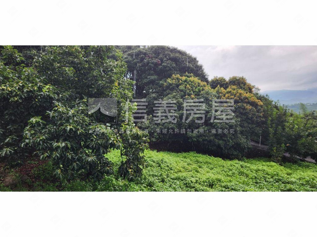 石岡區好規劃農牧用地Ａ房屋室內格局與周邊環境
