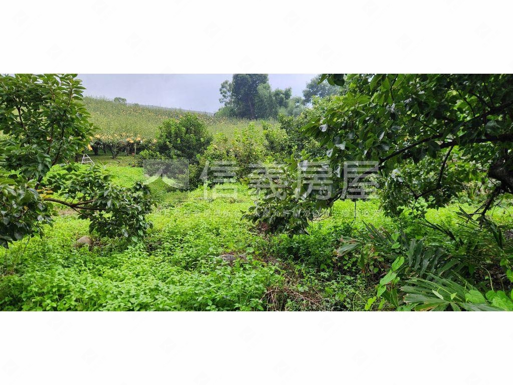 石岡區好規劃農牧用地Ａ房屋室內格局與周邊環境
