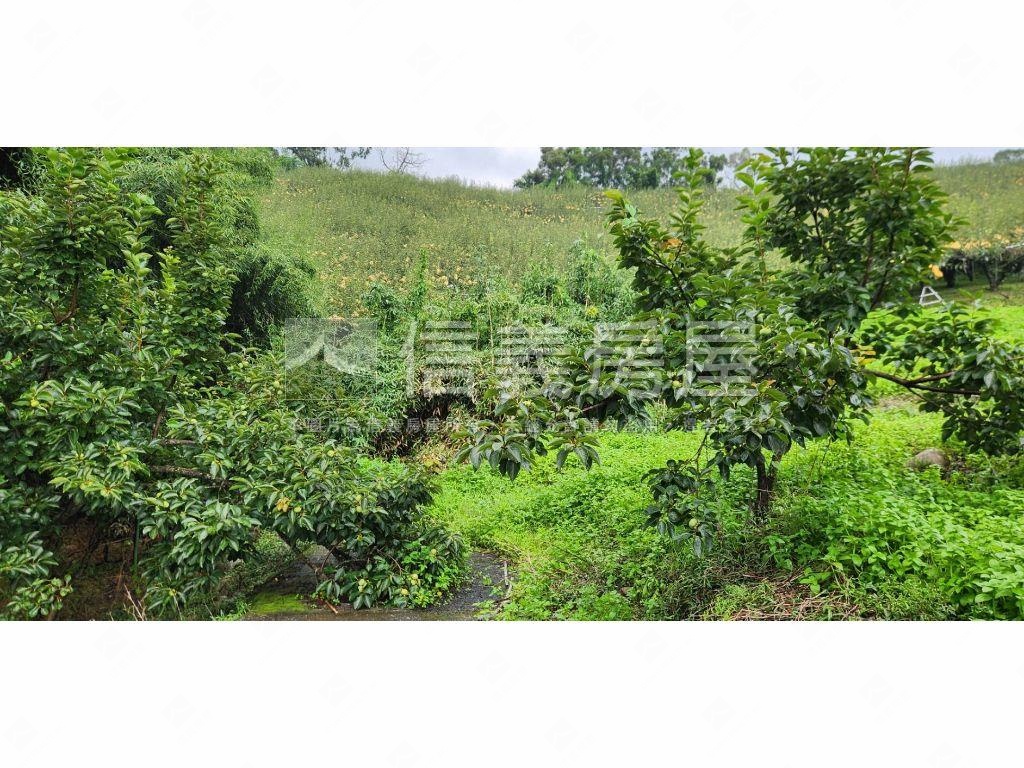 石岡區好規劃農牧用地Ａ房屋室內格局與周邊環境