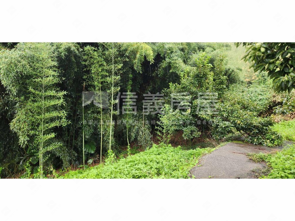 石岡區好規劃農牧用地Ａ房屋室內格局與周邊環境