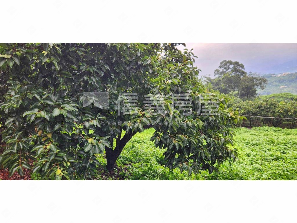 石岡區好規劃農牧用地Ａ房屋室內格局與周邊環境