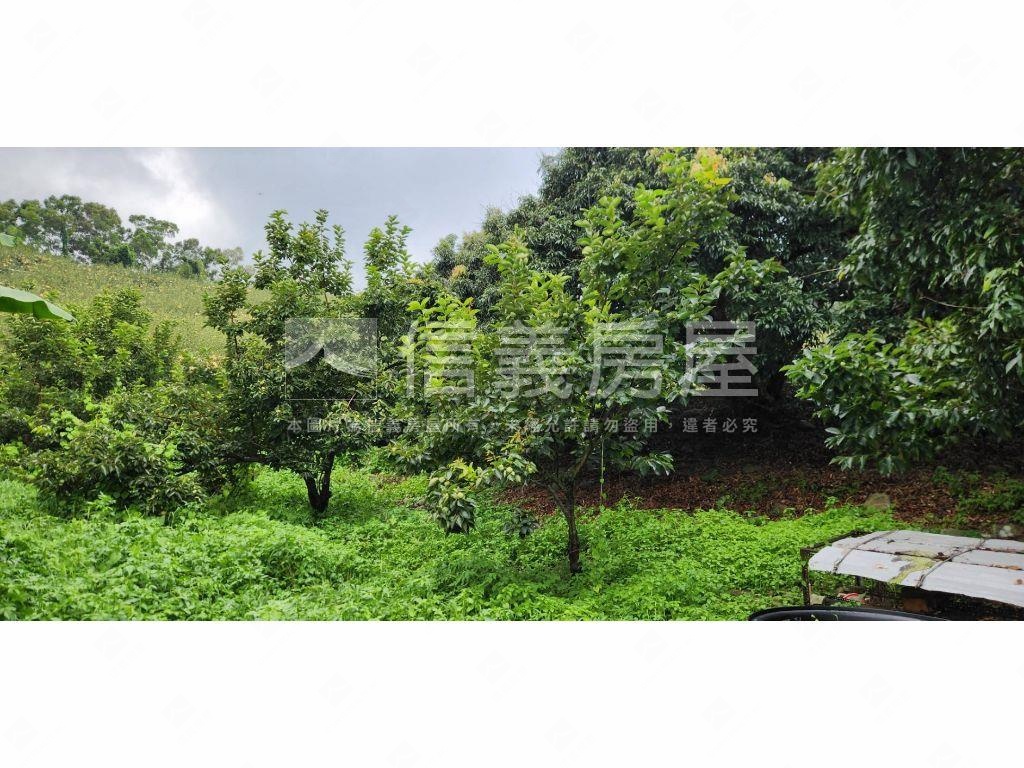 石岡區好規劃農牧用地Ａ房屋室內格局與周邊環境