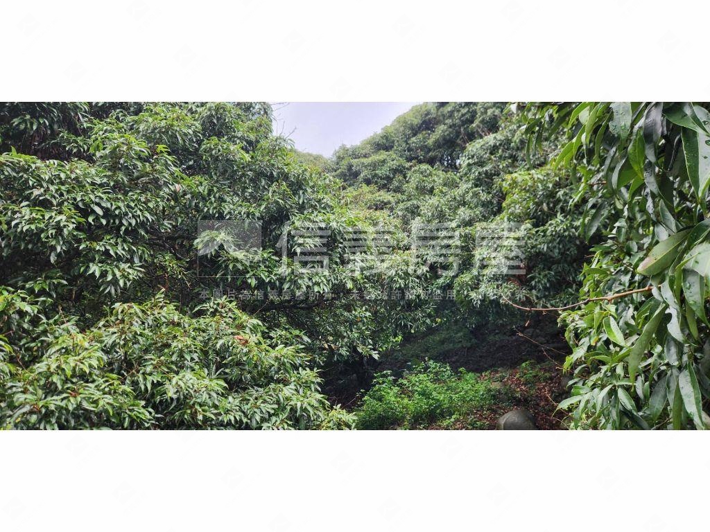 石岡區好規劃農牧用地Ａ房屋室內格局與周邊環境