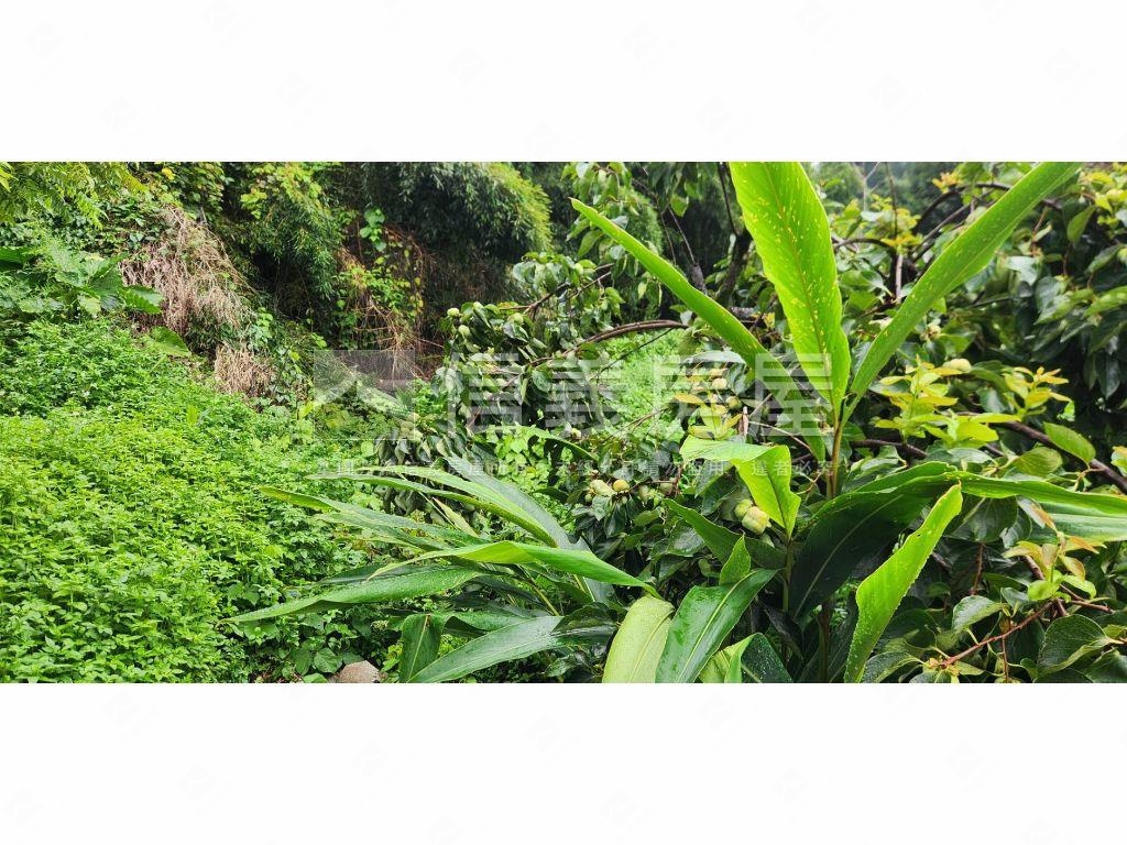 石岡區好規劃農牧用地Ａ房屋室內格局與周邊環境